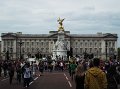 Buckingham Palace1